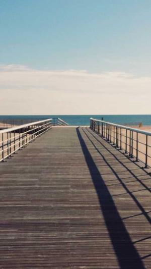 黑料传送站截图2